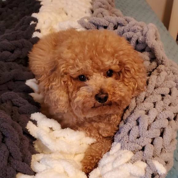 Meet your Posher, Lisa - Picture 1 of 1